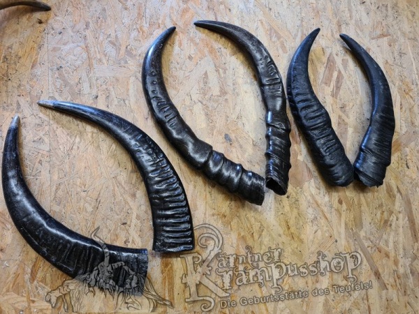 Wasserbüffel Kategorie B