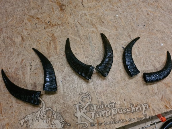 Wasserbüffel Kategorie A