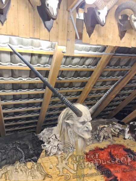 Orixantilope Paarweise