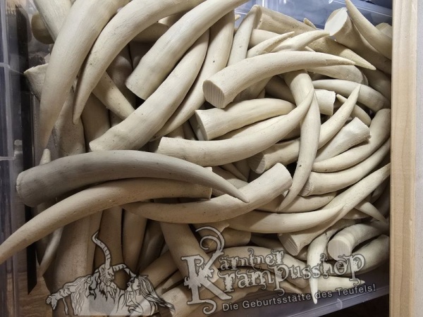 Krallen Irospitzen Beige