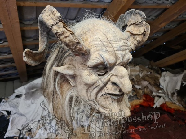 Heimische Widder NATUR Eingedreht Gewachsen