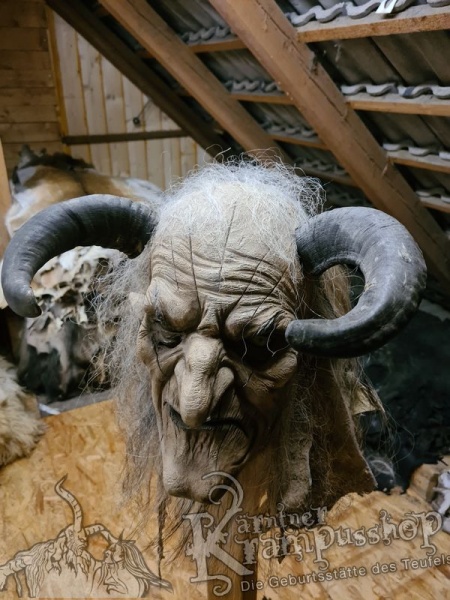 Widder Dunkel bis 30cm