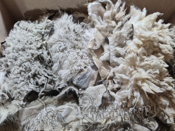 Weisse Fell Reste Schaf Heimisch Urig