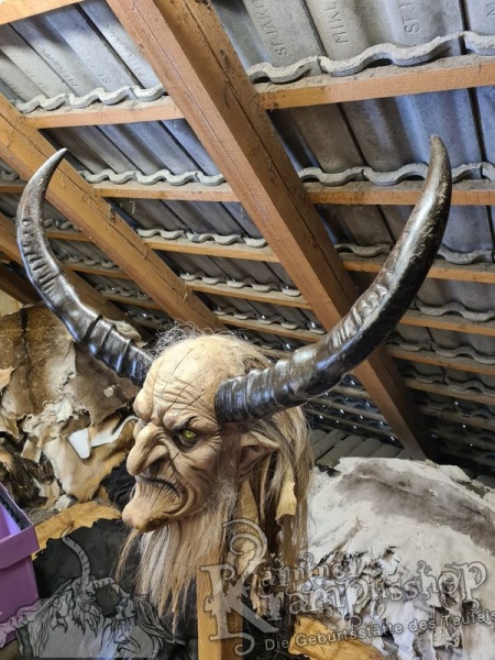 Wasserbüffel Kategorie B