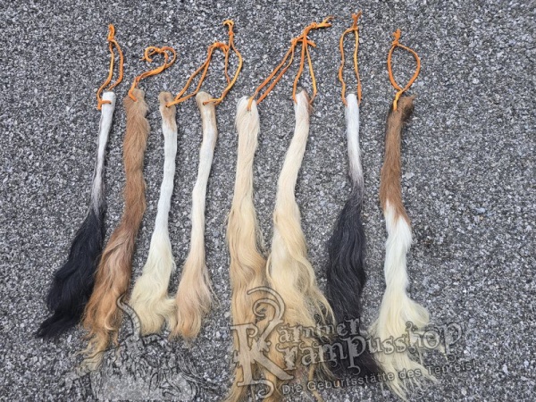 Kuhschweif Natur Grösse Small-Medium