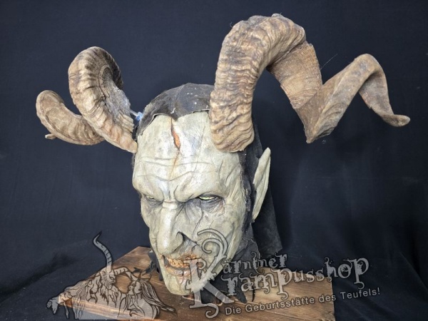 Widder Massiv Einzelstück