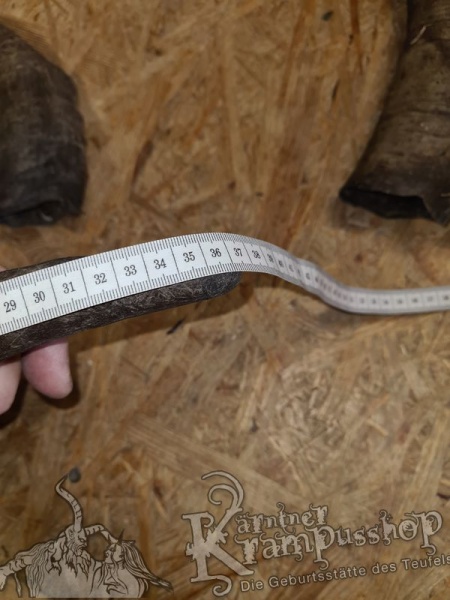 Bock Dunkel Kategorie E