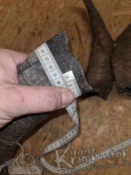 Bock Dunkel Kategorie E