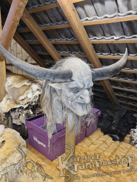 Bock Dunkel Kategorie F