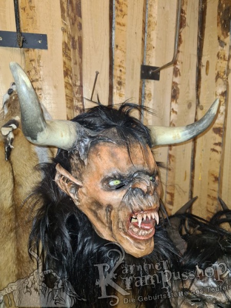 1 Paar Kuhhörner Mittel