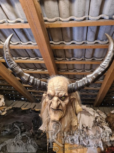 Wasserbüffel Kategorie B