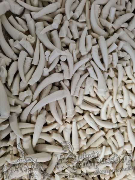 Stiftzähne Gemischt für den Maskeneinbau