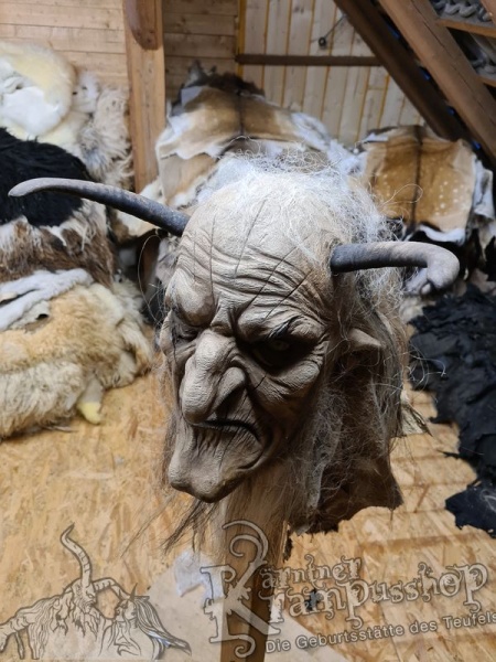 1 Paar Gaißhörner bis 20cm