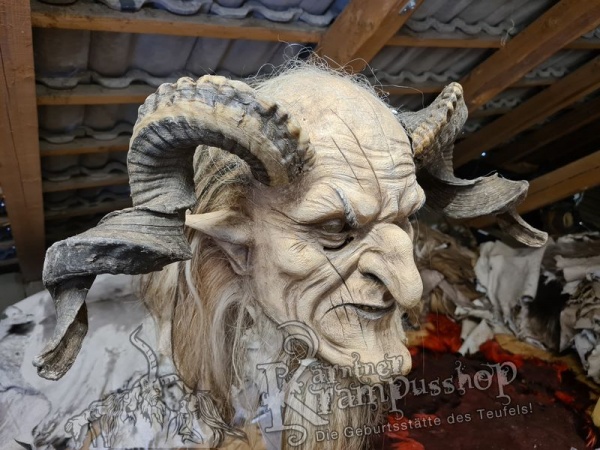 Heimische Widder NATUR Gerade gewachsen