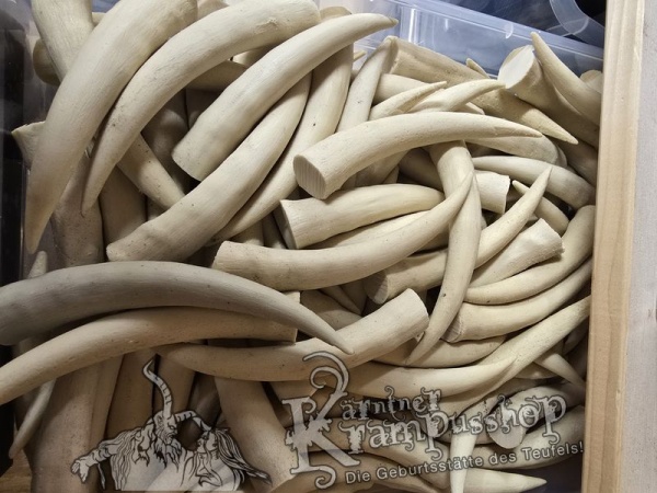 Krallen Irospitzen Beige