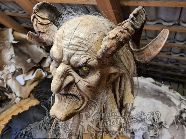 Heimische Widder NATUR Eingedreht Gewachsen