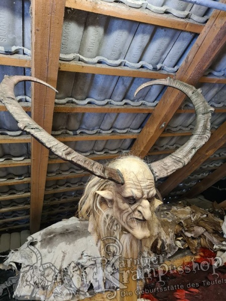 Türkischer Steinbock Bezoar Model Sidal