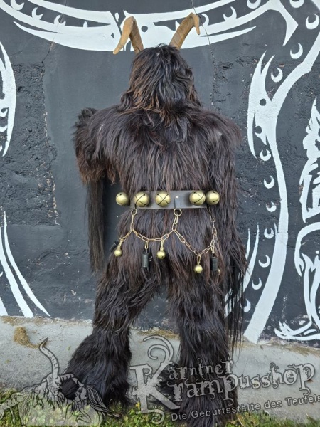 Neuer 2 Teiler Langhaar mit Pferdeschweife