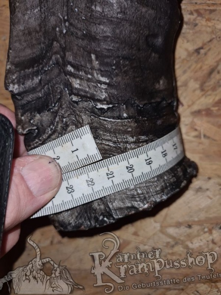 Ziegenbock Modell Ziegenpeter