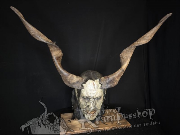 Ziegenbockhörner aus der Region Ampulien