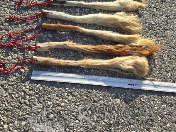Kuhschweif Natur Grösse M