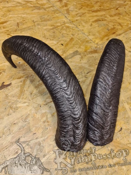 Afrikanischer Mähnenspringer Aoudad