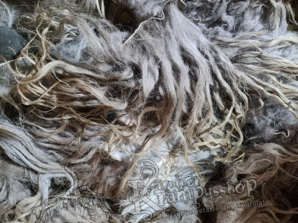 Urig gefärbte Fell Reste Islandschaf Langhaar