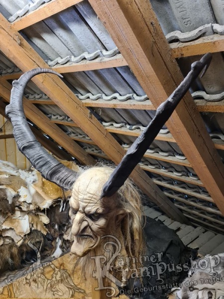 Türkischer Steinbock Bezoar Model AKI