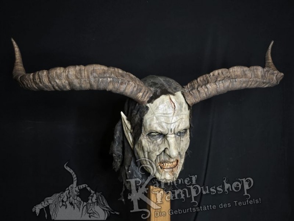 Spanischer Steinbock