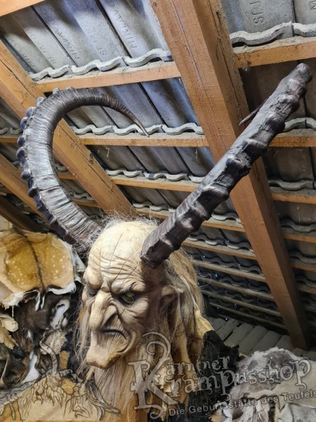 Sibirischer Steinbock Model Bismark