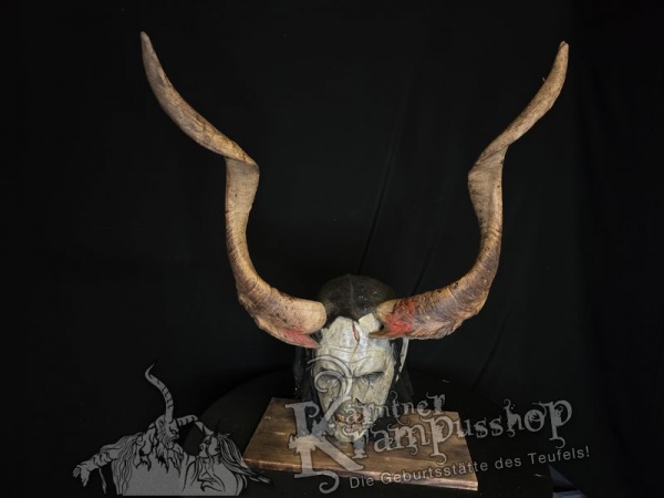 Ziegenbockhörner aus der Region Ampulien