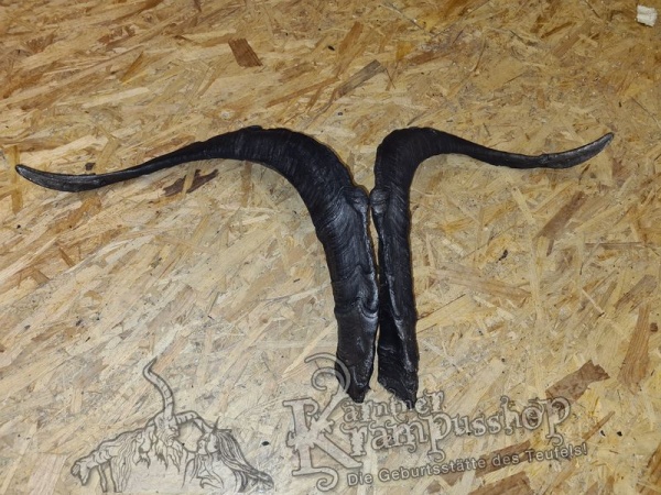 Ziegenbock Modell Ziegenpeter