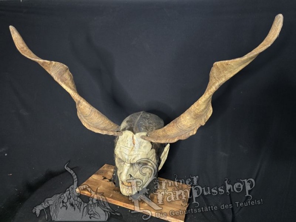 Ziegenbockhörner aus der Region Ampulien