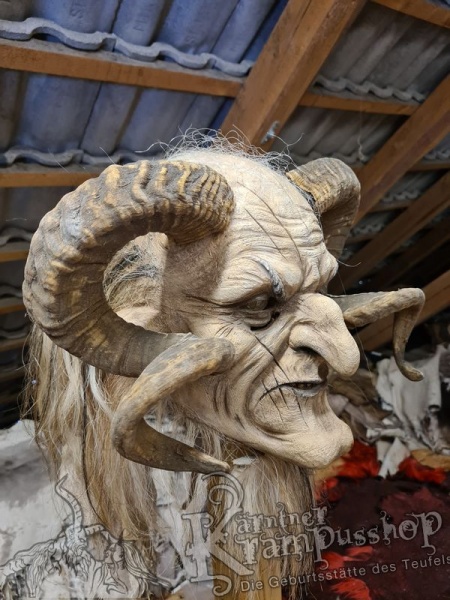 Heimische Widder NATUR Eingedreht Gewachsen