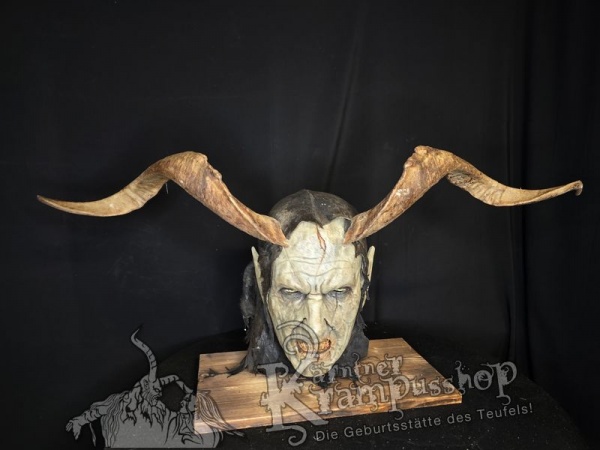 Ziegenbockhörner aus der Region Ampulien