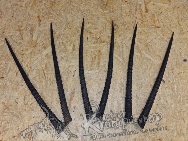 Orixantilope Paarweise