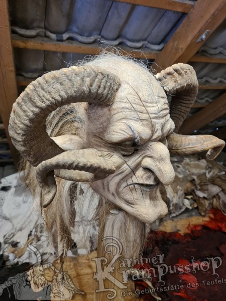 Heimische Widder NATUR Eingedreht Gewachsen