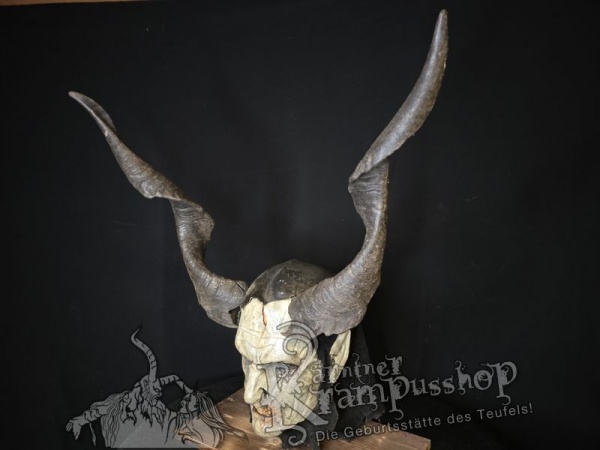 Ziegenbockhörner aus der Region Ampulien