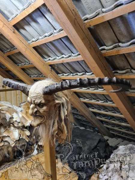 Sibirischer Steinbock Model Bismark