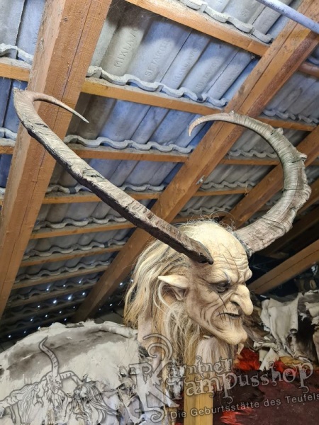 Türkischer Steinbock Bezoar Model Sidal