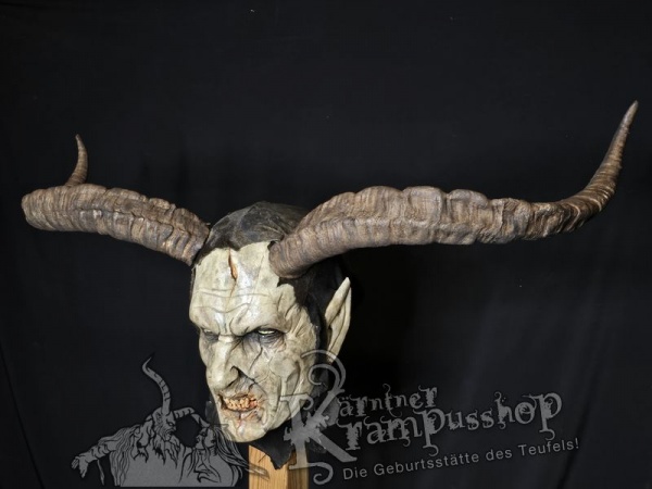 Spanischer Steinbock