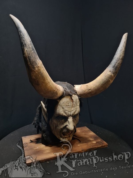 Watussi Rinderhörner