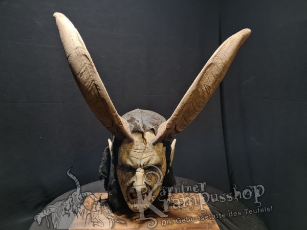 Ziegenbockhörner aus dem Aosta Tal