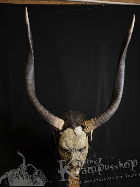 Nyala Antilope gross