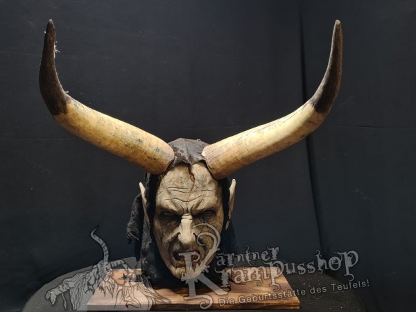 Watussi Rinderhörner