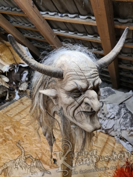 1 Paar Gaißhörner bis 25cm