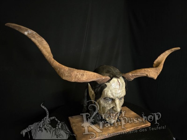 Ziegenbockhörner aus der Region Ampulien