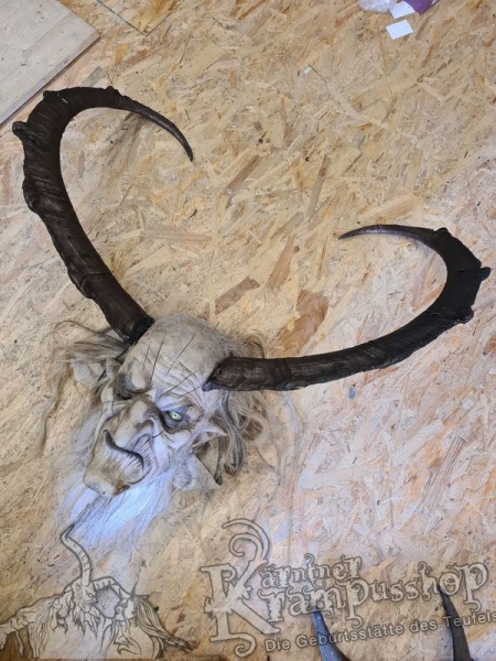 Türkischer Steinbock Bezoar Model Sidal