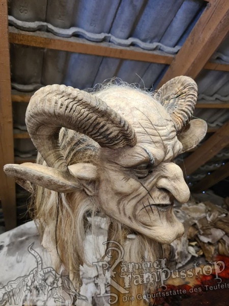 Heimische Widder NATUR Eingedreht Gewachsen