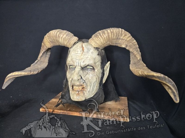 Hochland Widderhörner